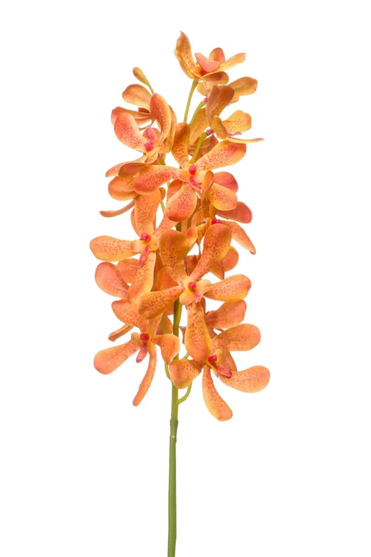 Vanda oranje kunstbloem 80 cm